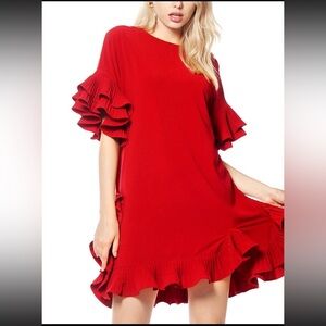 Elegant Pleated Ruffle Trim Dress
